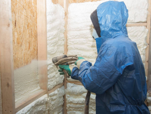 Best Spray Foam Insulation  in Shawneetown, IL